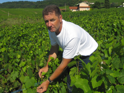 Jacky-Gauthier Jacky Gauthier dans le travail au domaine