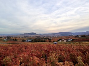 IMG_1820